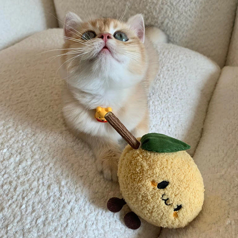 pet cat toy cat teaser pet toy