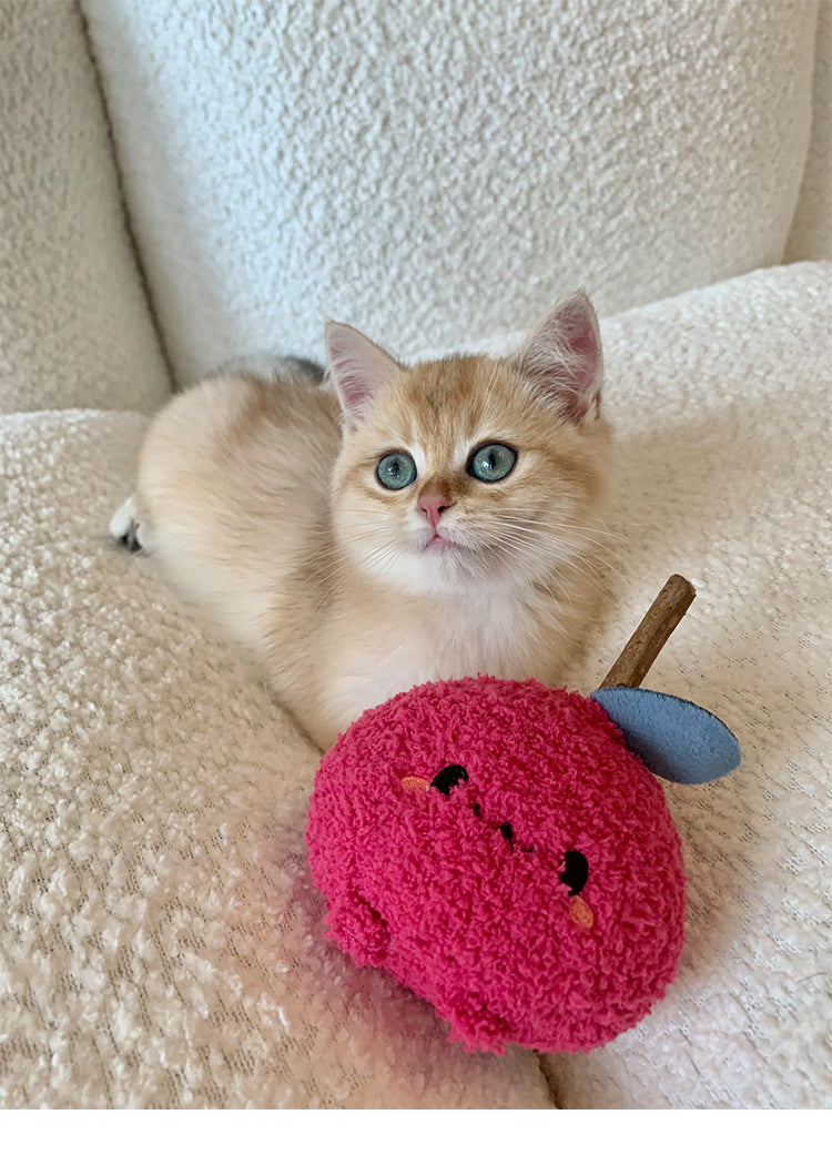 Cat teeth grinding stick toy wooden polygonum cat toytoy