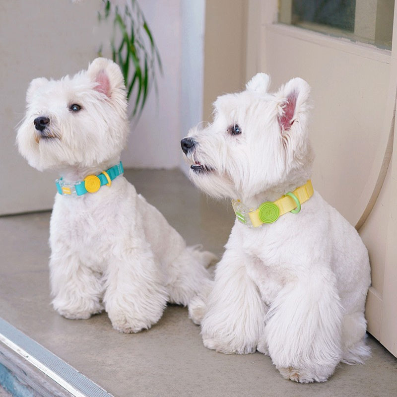 Colorful waterproof dog collar with leash