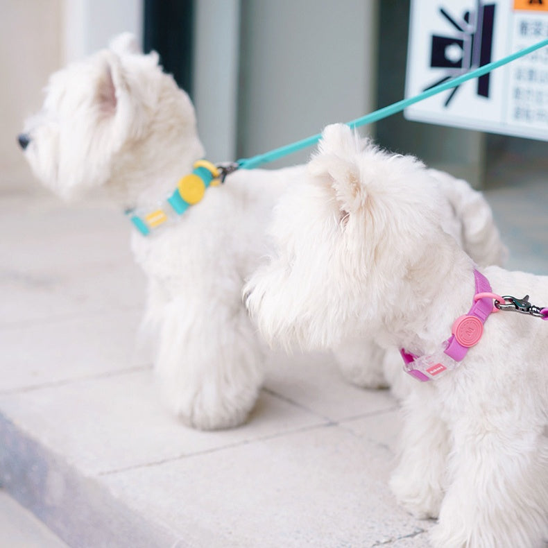 Colorful waterproof dog collar with leash