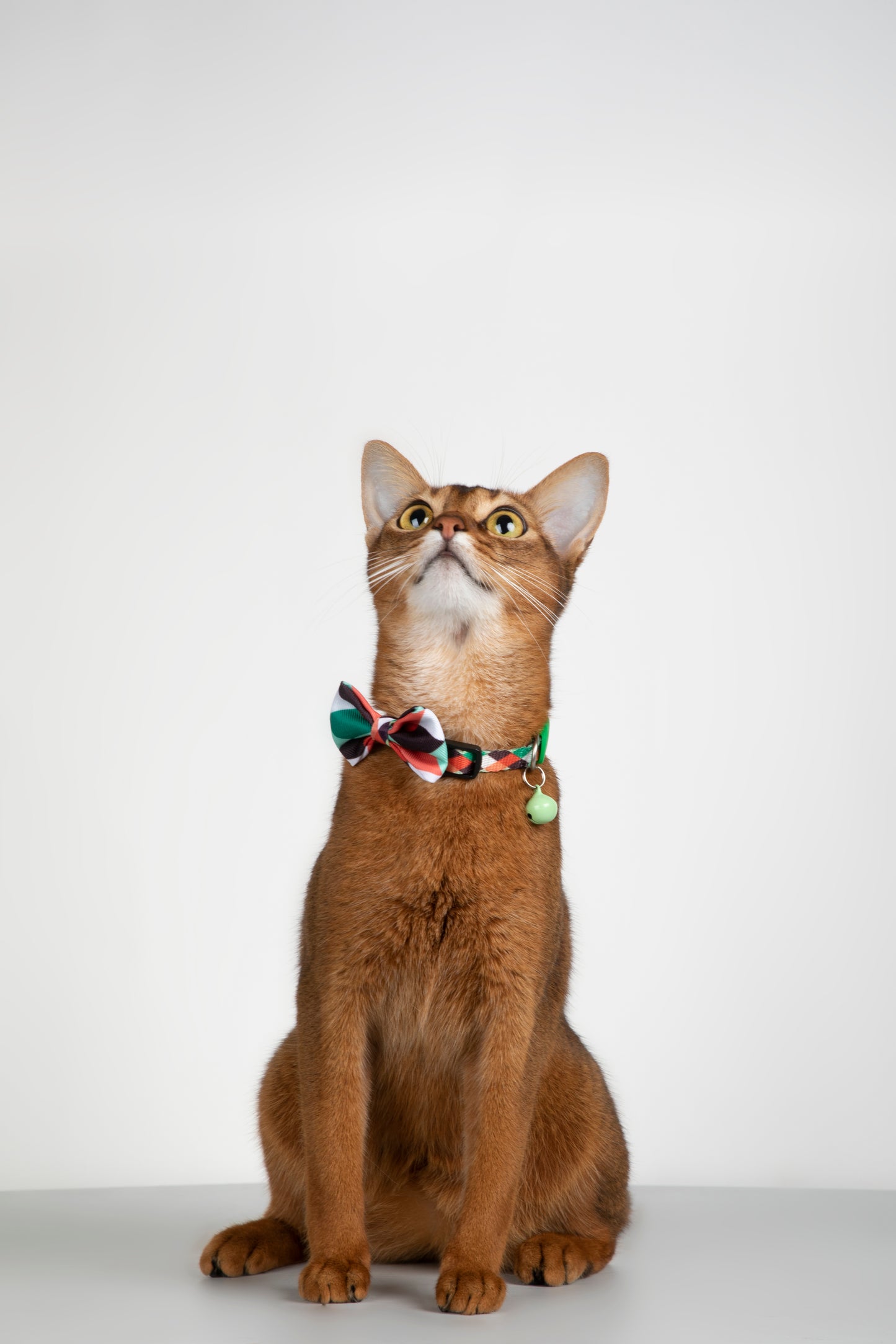Stylish Soft Touch Pet Bow Tie for Dogs & Cats