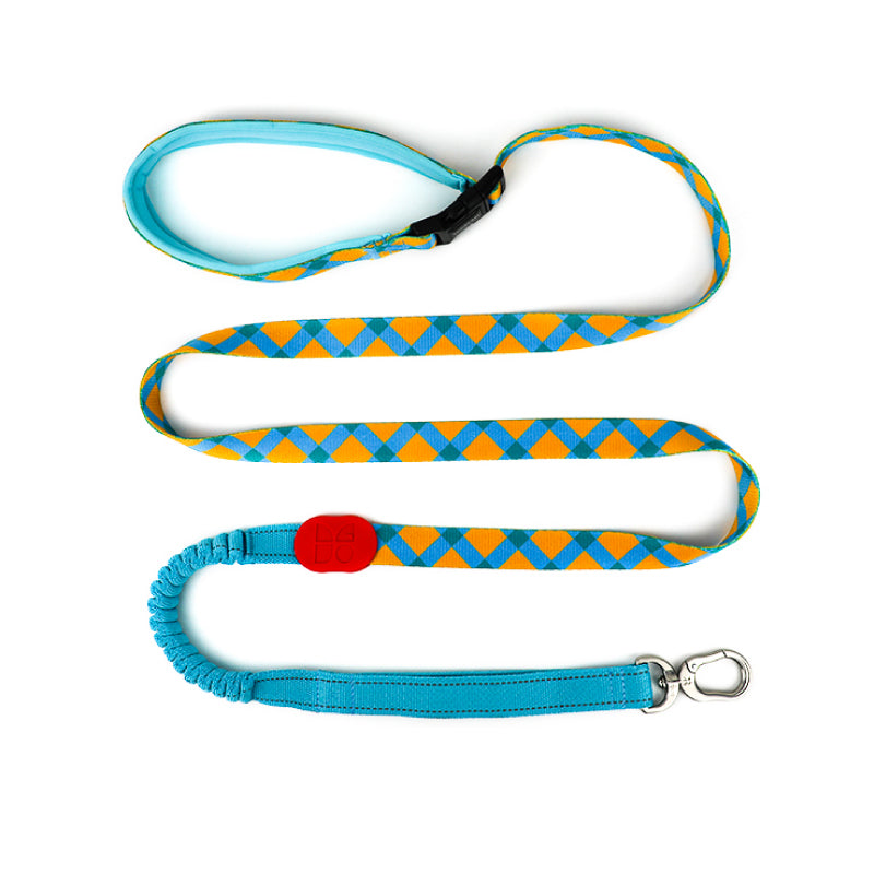 Adjustable Dog Leash – Comfort & Control in One