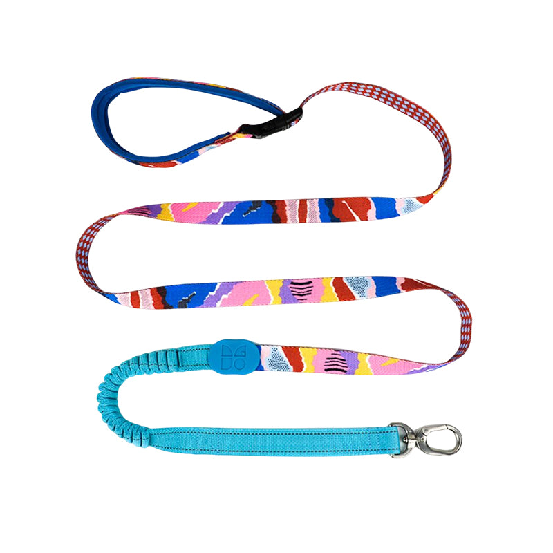 Adjustable Dog Leash – Comfort & Control in One