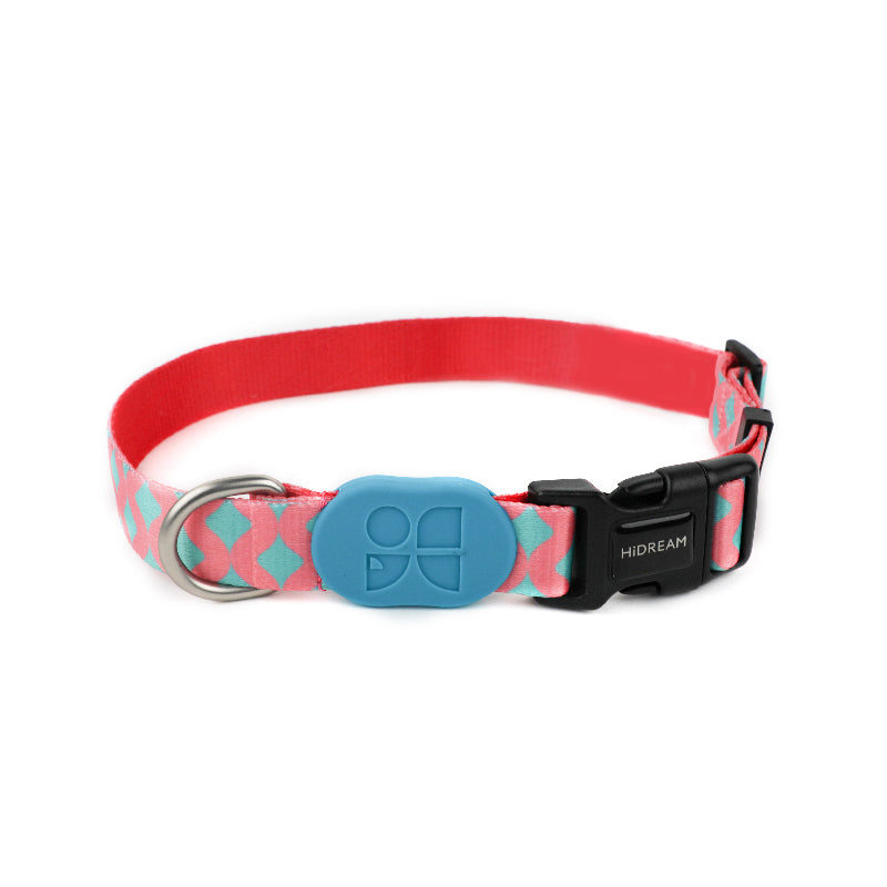 Colorful Secure & Comfort Dog Collar