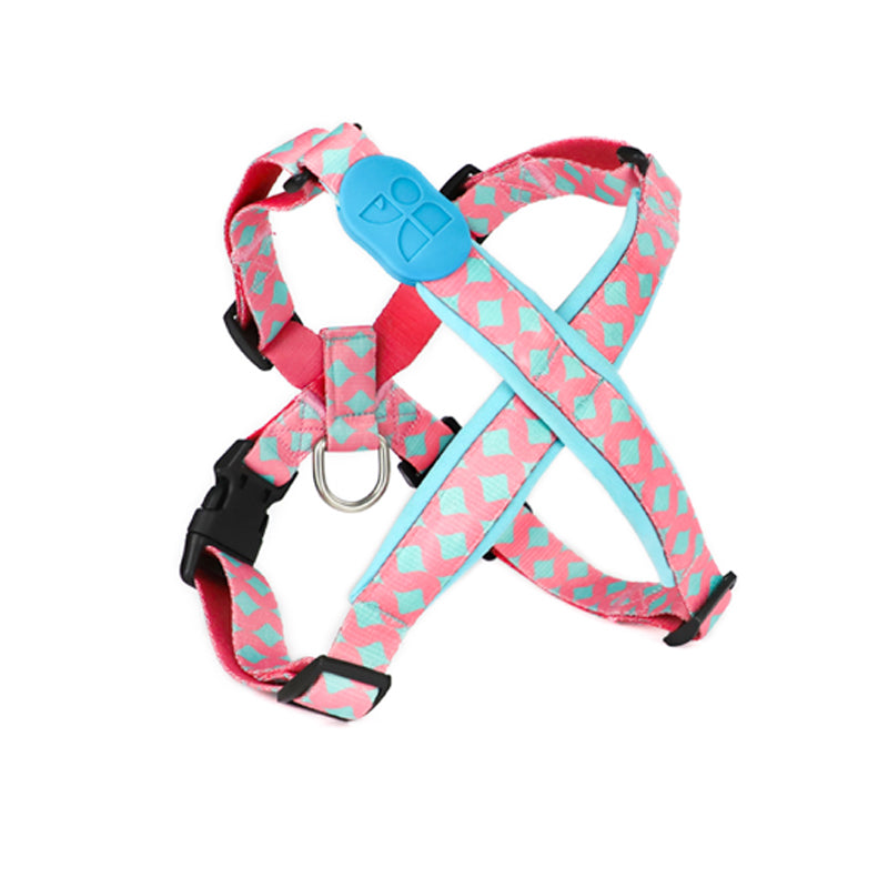 X-Shaped Dog Harness Dog Leash Exclusive New Structure Design
