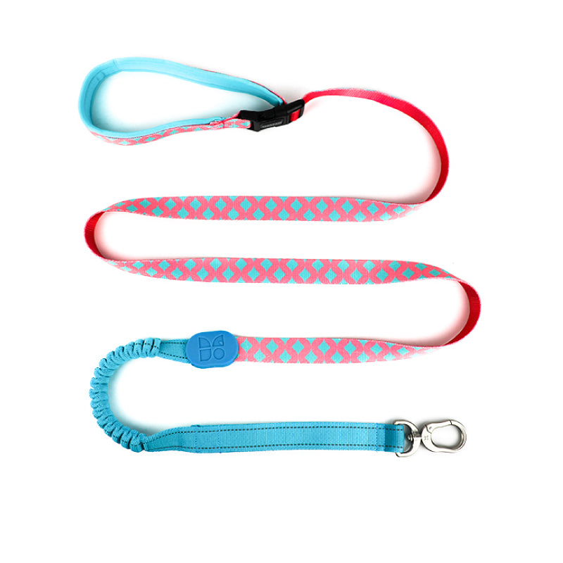 Adjustable Dog Leash – Comfort & Control in One