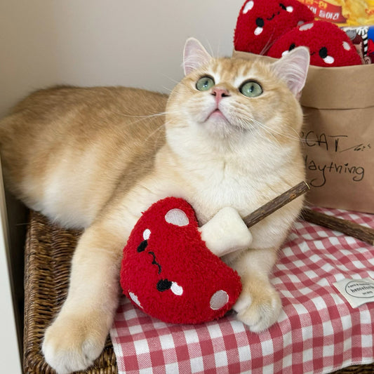 The Magic of Plush Toys: Why Can't Cats Live Without These Soft Companions?