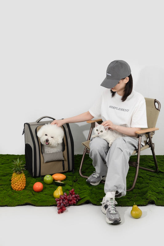Essential Tips for Using a Pet Backpack on Outdoor Adventures