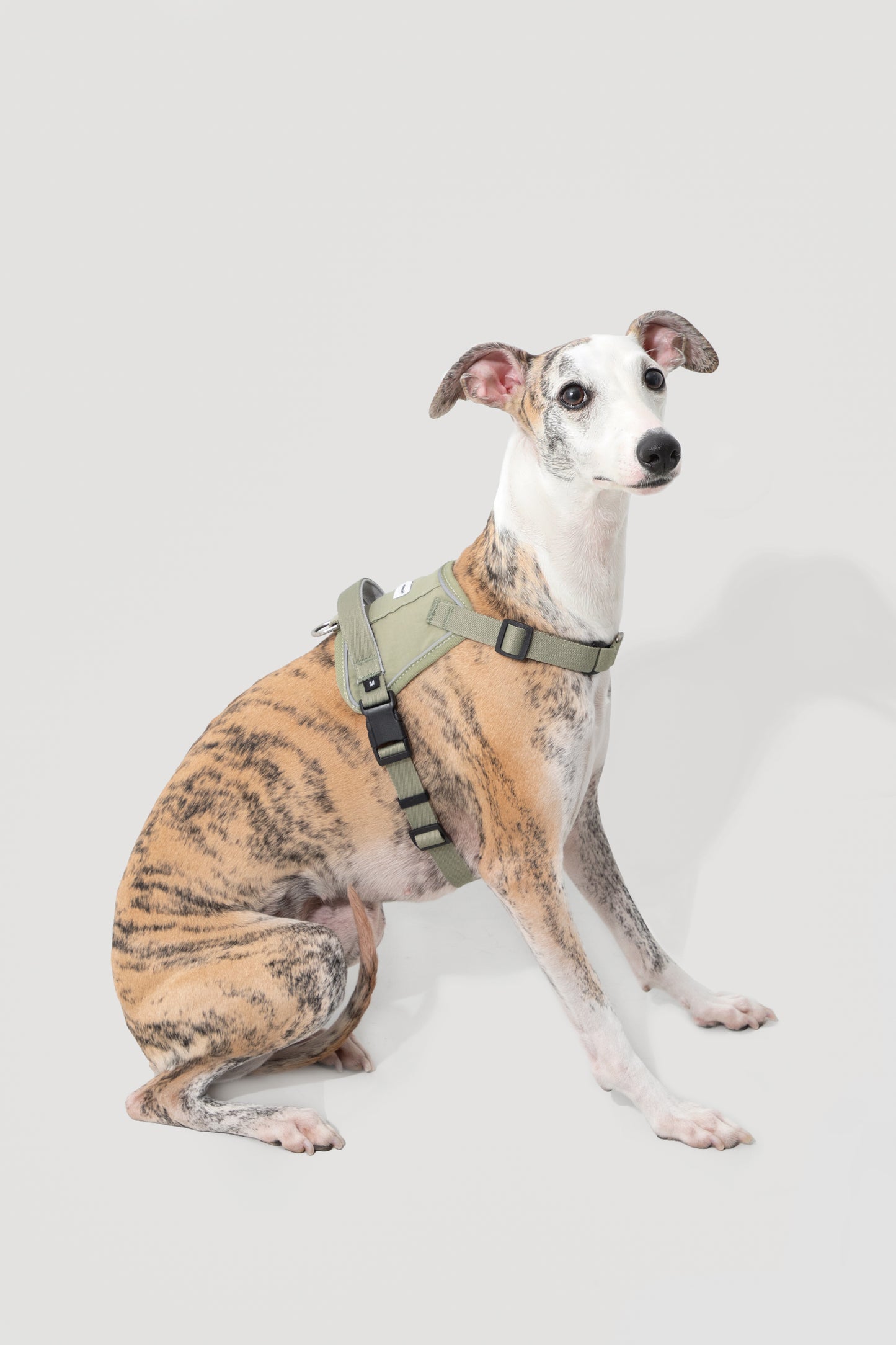 Valley Series｜Quick-Fit Anti-Pull Big Harness For Dog