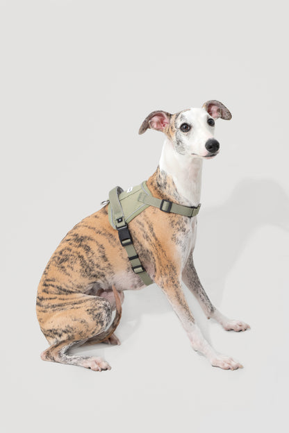 Valley Series｜Quick-Fit Anti-Pull Big Harness For Dog