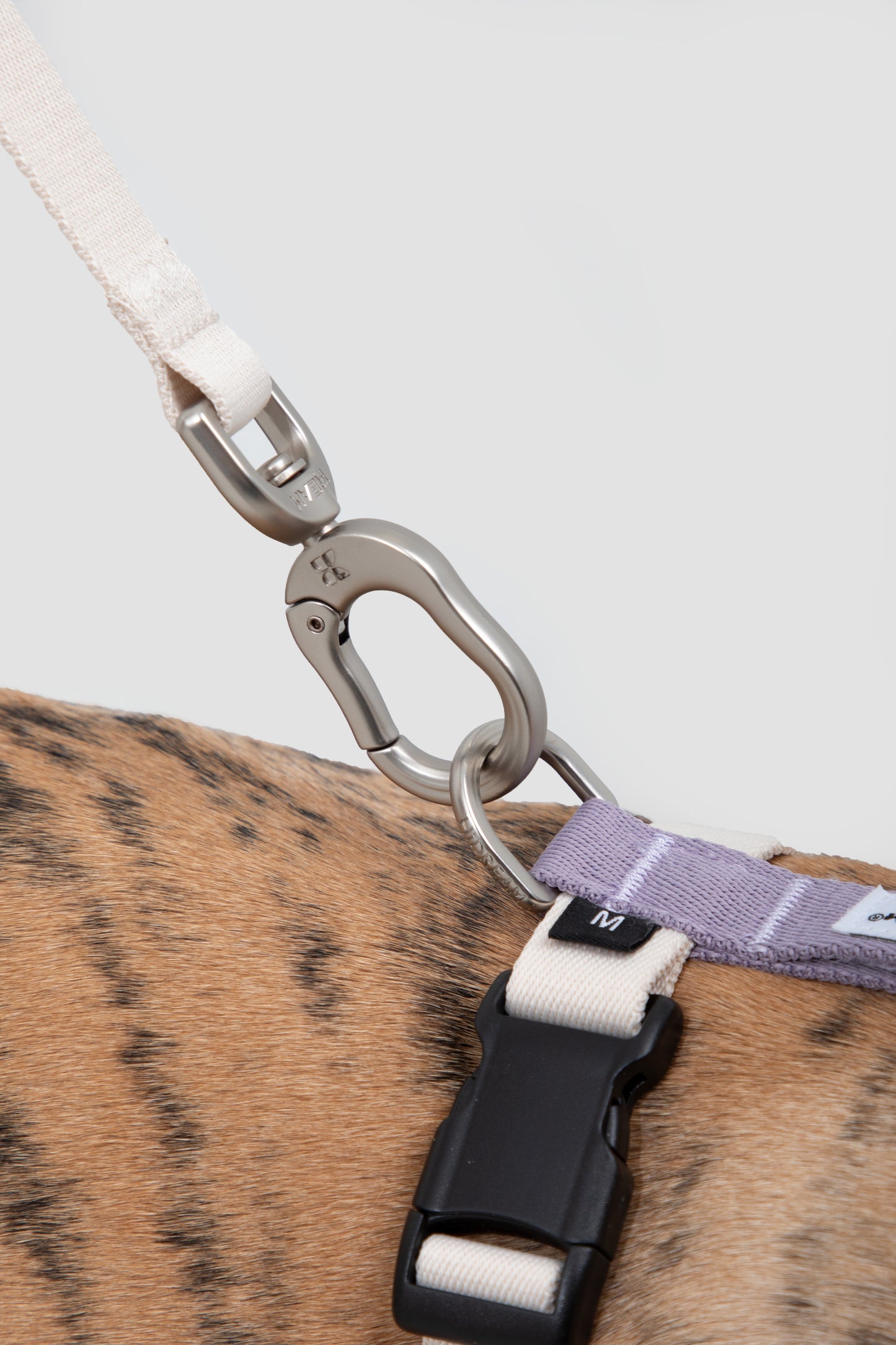 Valley Series |H-Type Dog Harness Best Dog Leash Set
