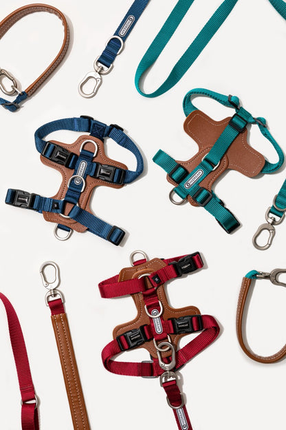 Premium H-Shaped Big Harness For Dog