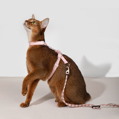Bobo Series · Free Exploration Cat Chest and Back Leash Set