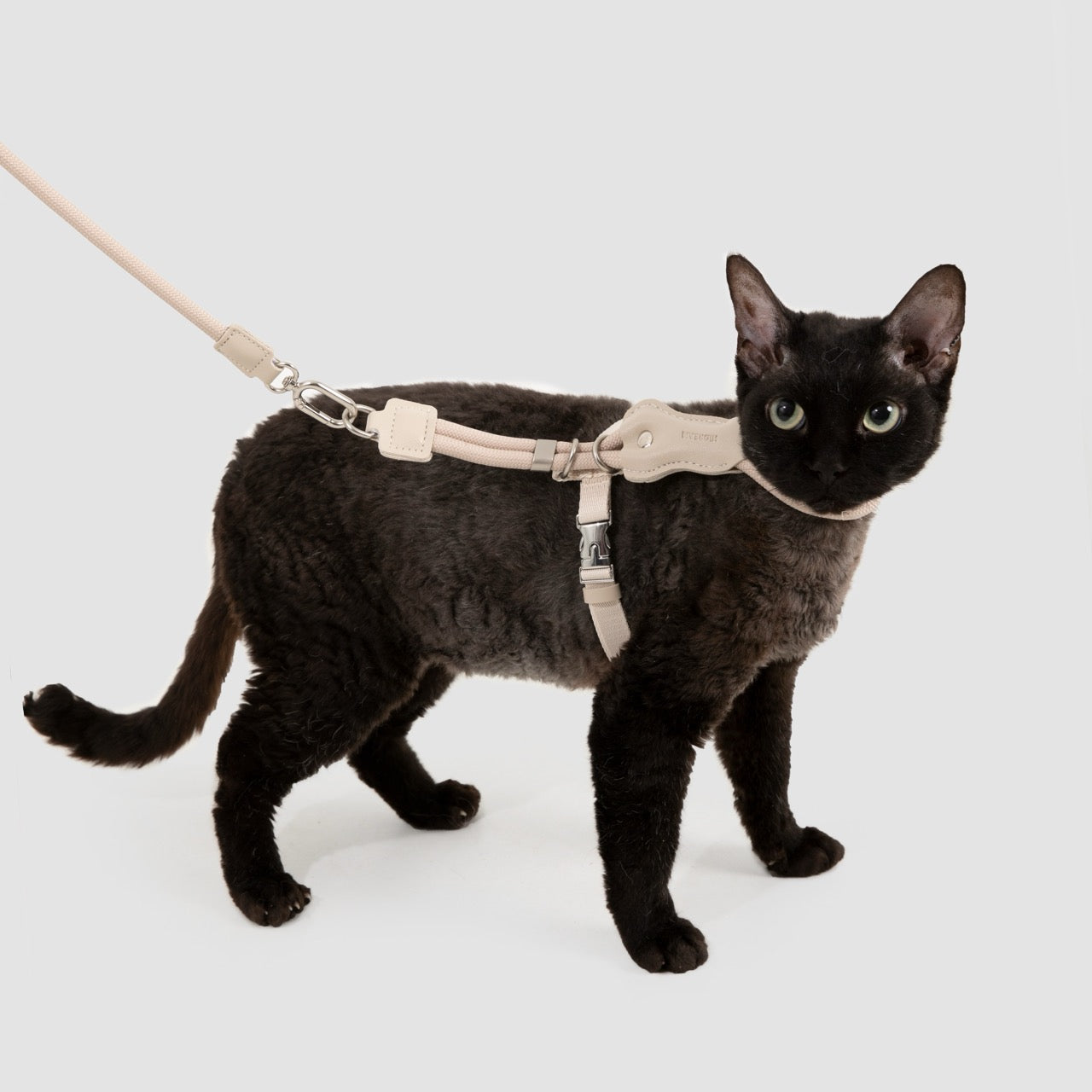 Leather round rope cat chest and back traction set