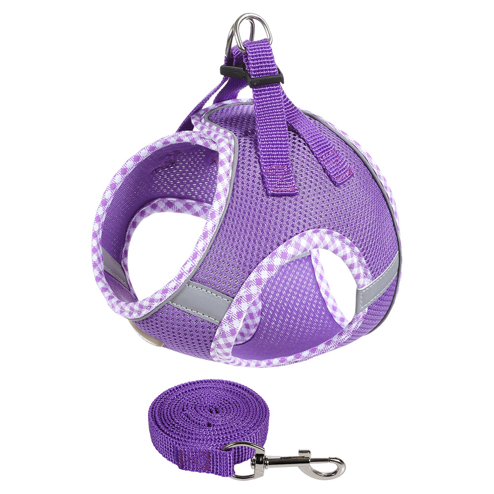 Colorful & BreathableDog Harness And Leash Set