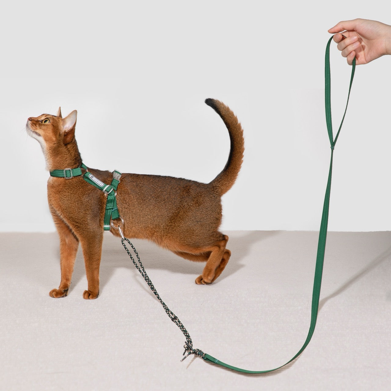 Bobo Series · Free Exploration Cat Chest and Back Leash Set