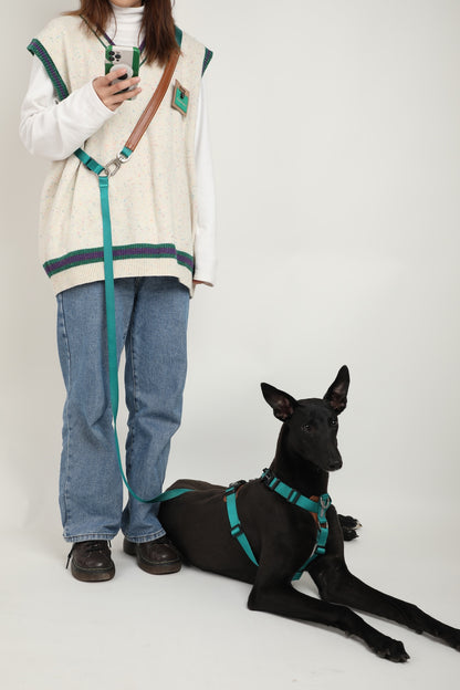 Multi-Functional Adjustable Crossbody Nylon Dog Leash