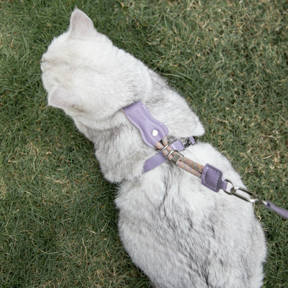Leather round rope cat chest and back traction set