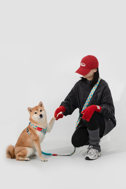 X-Shaped Dog Harness Dog Leash Exclusive New Structure Design