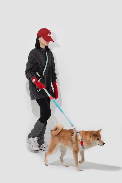 X-Shaped Dog Harness Dog Leash Exclusive New Structure Design