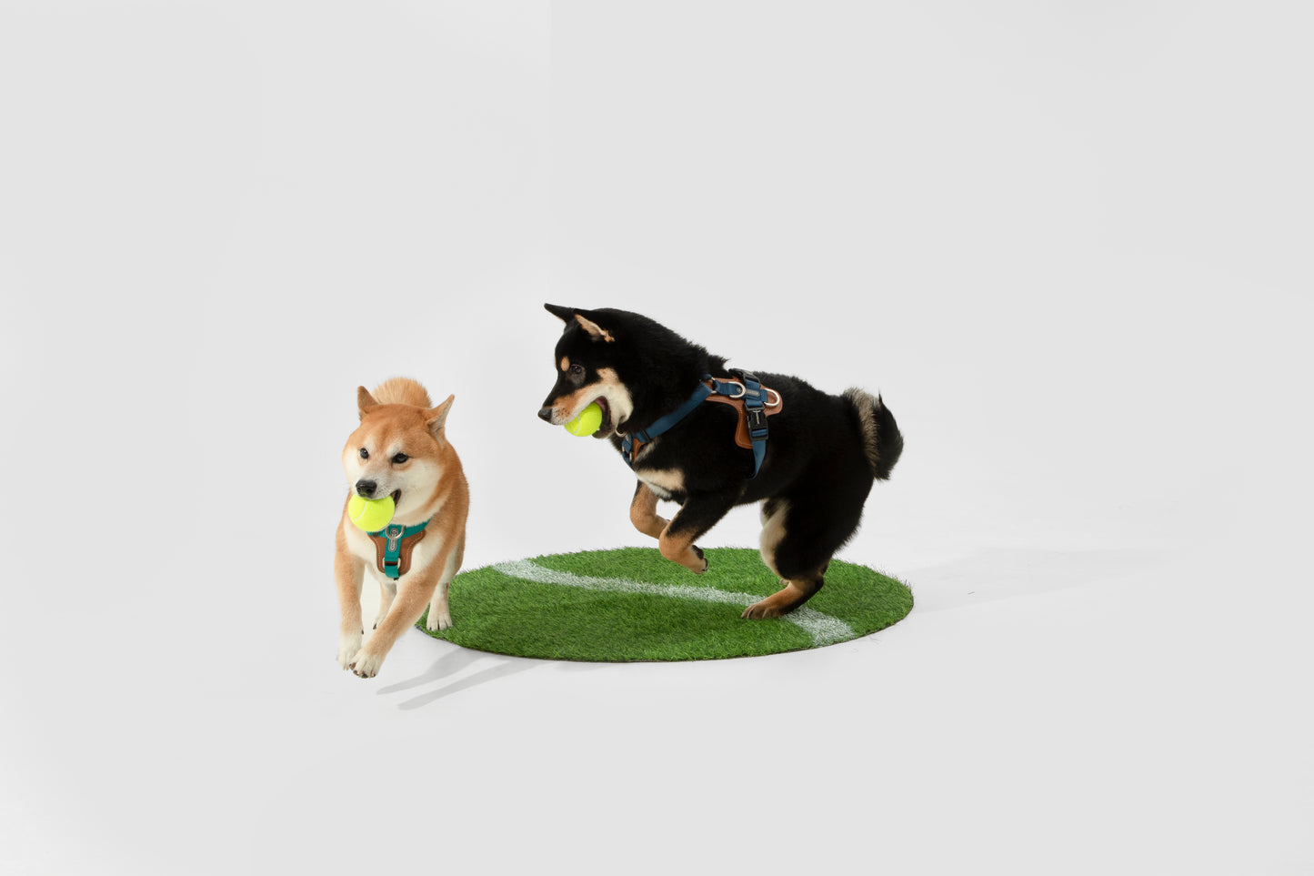 Premium H-Shaped Big Harness For Dog