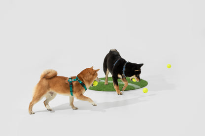 Premium H-Shaped Big Harness For Dog