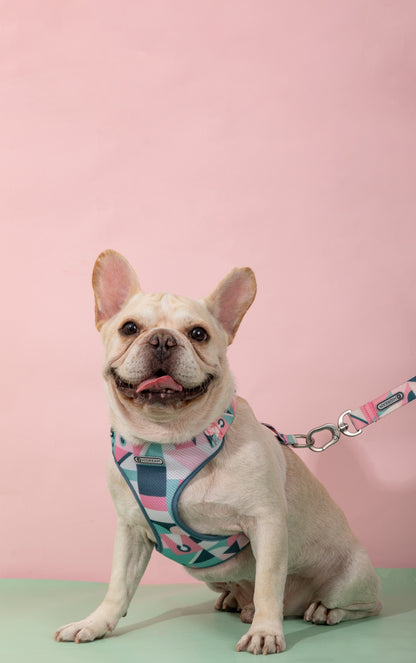 PawsComfort Soft-Grip Dog Leash