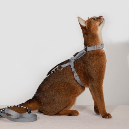 Bobo Series · Free Exploration Cat Chest and Back Leash Set