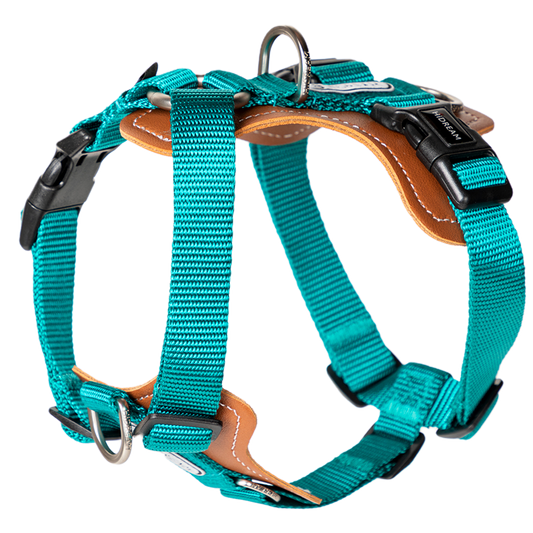Premium H-Shaped Big Harness For Dog