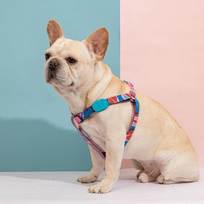 Totem Colorful Dog Harness Leashes