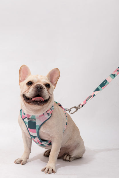 PawsComfort Soft-Grip Dog Leash