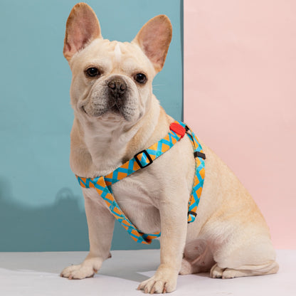 Totem Colorful Dog Harness Leashes
