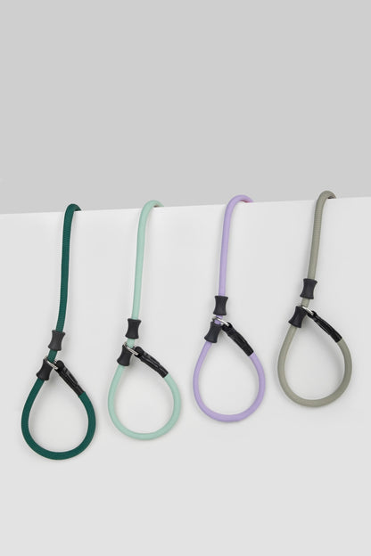 Professional Leather-Handle Training P-Slip Lead (All-Size Dogs)