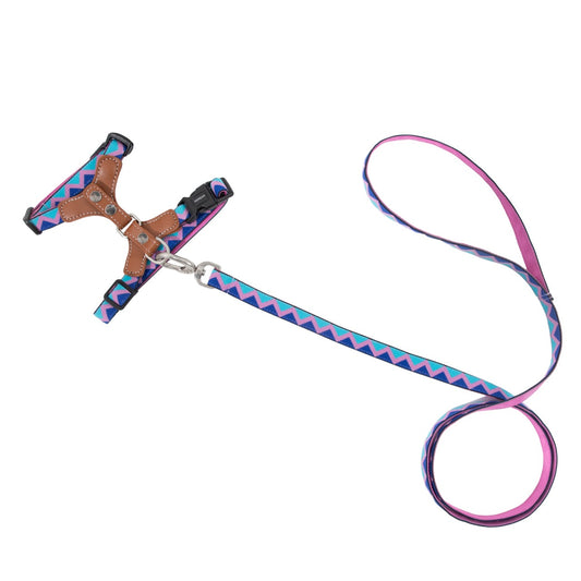 Bobo Series cat chest and back leash set