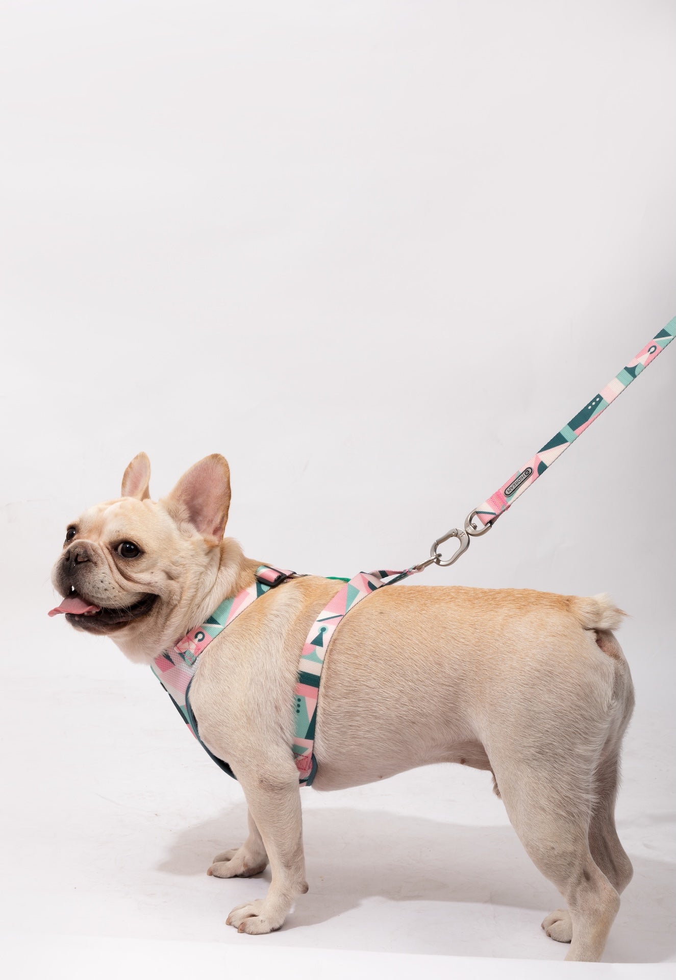 PawsComfort Soft-Grip Dog Leash