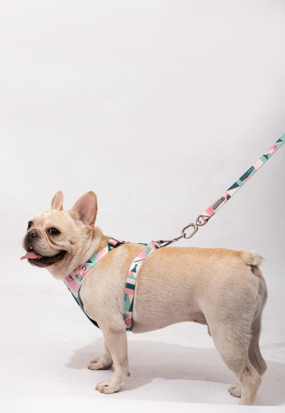 PawsComfort Soft-Grip Dog Leash