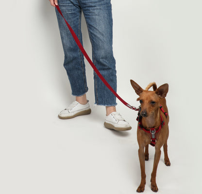 Multi-Functional Adjustable Crossbody Nylon Dog Leash