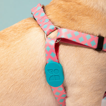 Totem Colorful Dog Harness Leashes