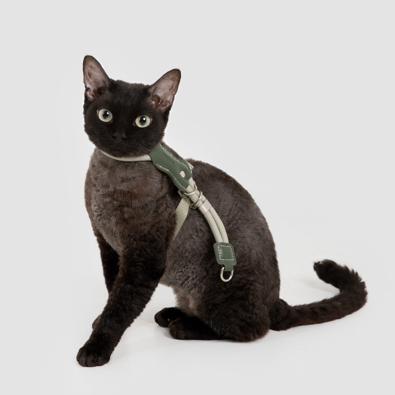 Leather round rope cat chest and back traction set