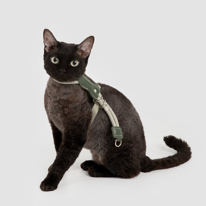 Leather round rope cat chest and back traction set