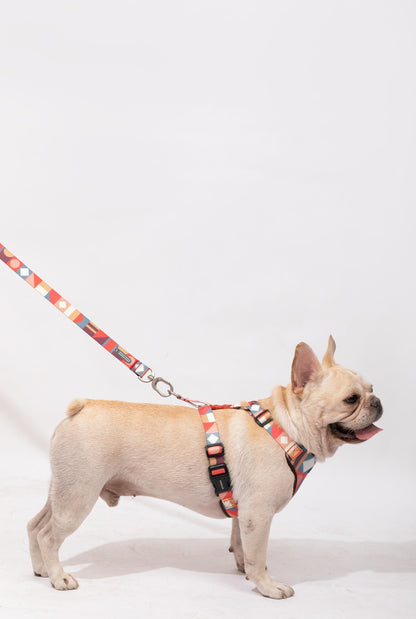 PawsComfort Soft-Grip Dog Leash