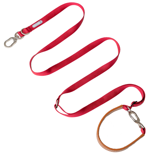Multi-Functional Adjustable Crossbody Nylon Dog Leash