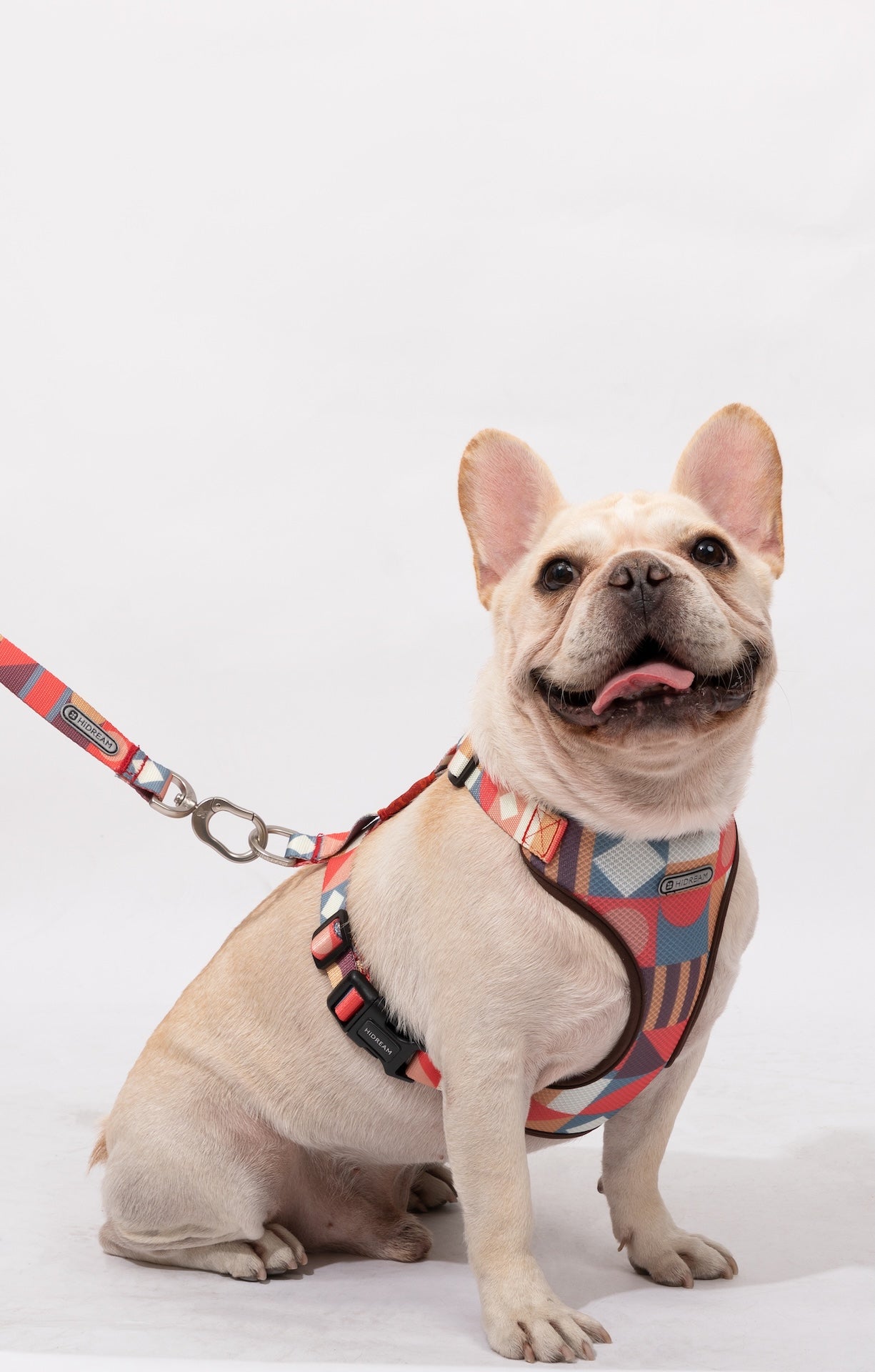 PawsComfort Soft-Grip Dog Leash