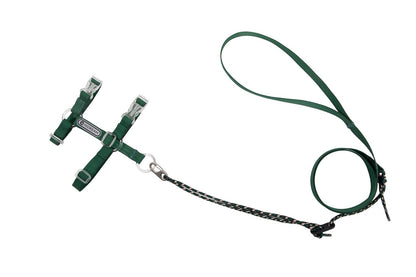 Bobo Series · Free Exploration Cat Chest and Back Leash Set