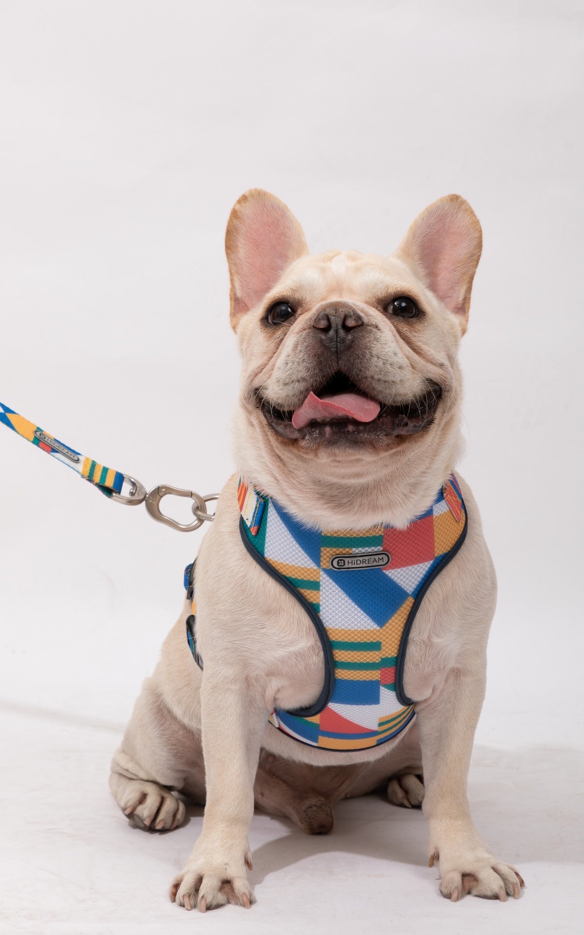 PawsComfort Soft-Grip Dog Leash