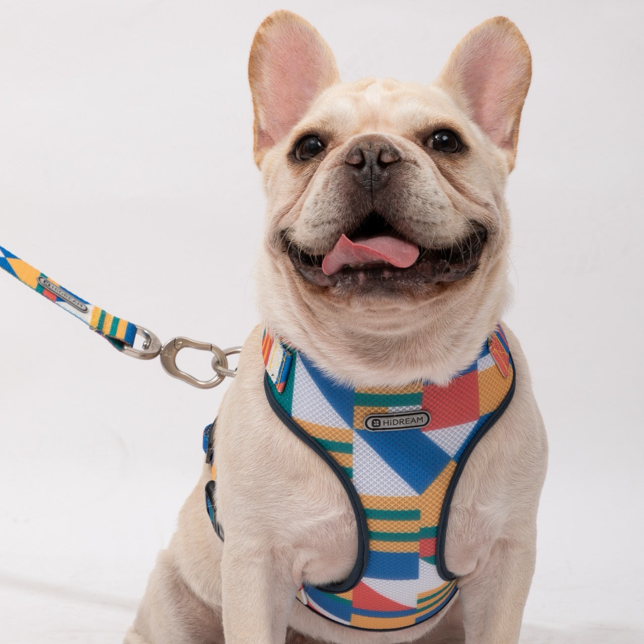 Best Dog Harness Dog Leash