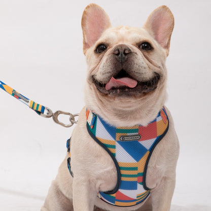Best Dog Harness Dog Leash