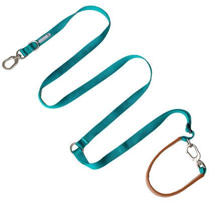 Multi-Functional Adjustable Crossbody Nylon Dog Leash