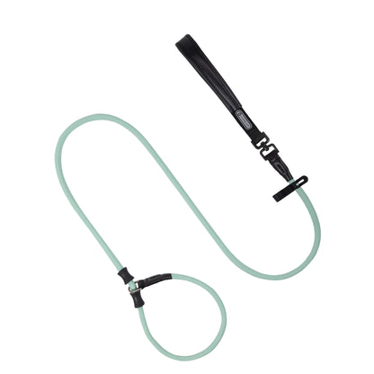 Professional Leather-Handle Training P-Slip Lead (All-Size Dogs)