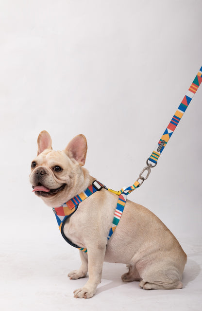 PawsComfort Soft-Grip Dog Leash